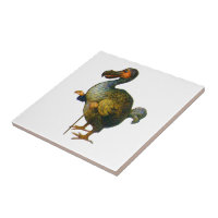 Alice In Wonderland Ceramic Tile Art Meets Dodo Bird Color