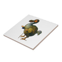 Alice and The Dodo Bird in Wonderland Tile