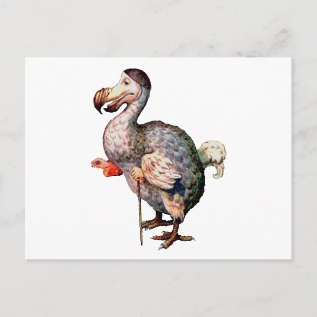 The Dodo Bird Postcard (Front)