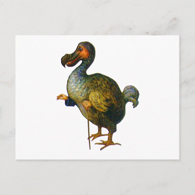 The Dodo Bird Postcard (Front)
