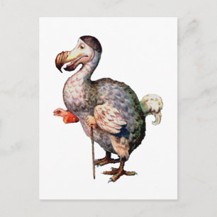 The Dodo Bird Postcard