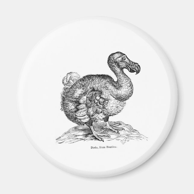 The Dodo Magnet (Front)