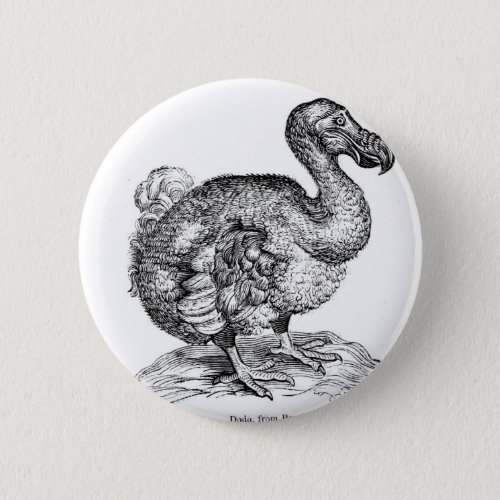 The Dodo Pinback Button