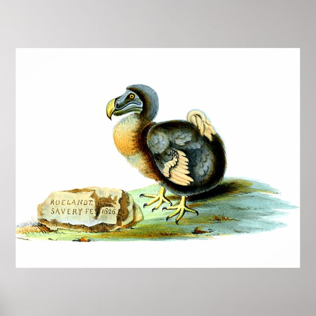 The Dodo Poster (Front)
