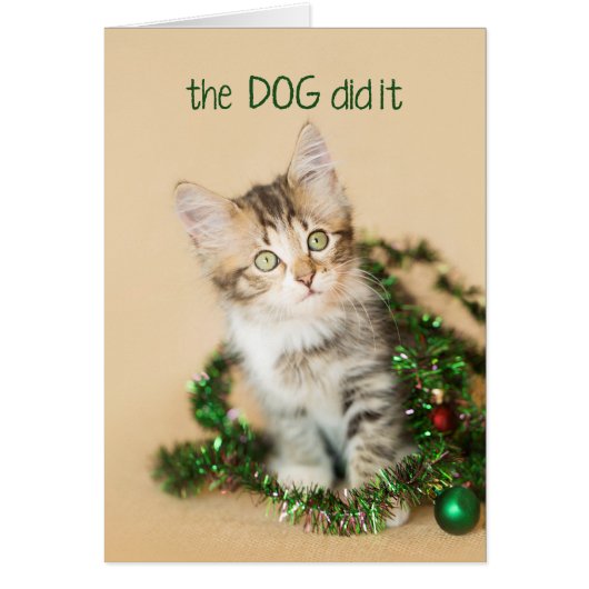 The Dog Did it Kitten Cards (Front)