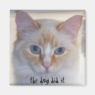 THE DOG DID IT MAGNET