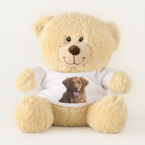 The Dog is favorite me Teddy Bear