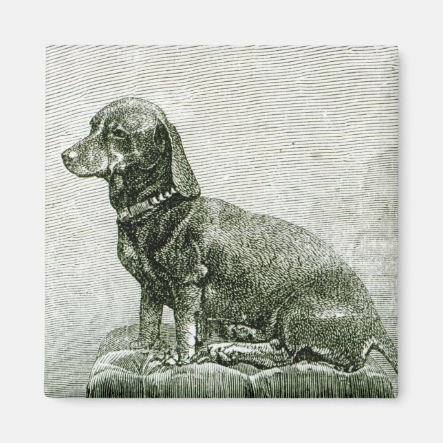 The Dog Jacob Magnet (Front)