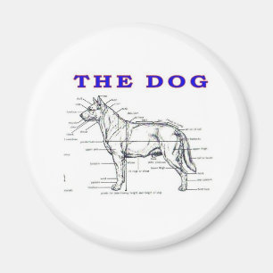 THE DOG MAGNET