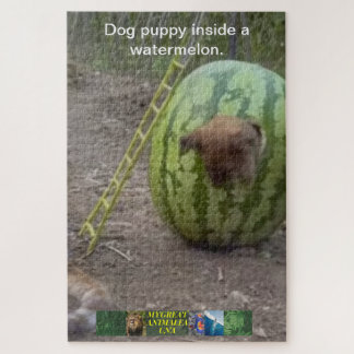 The dog puppy inside a watermelon puzzle. jigsaw puzzle