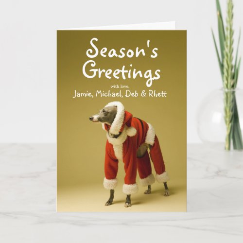The dog wears Father Christmass clothes 2 Holiday Card