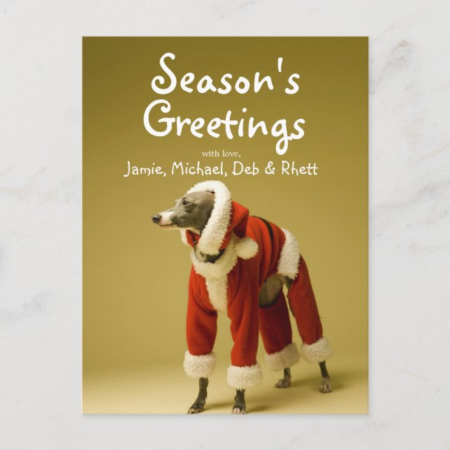 The dog wears Father Christmas's clothes 2 Holiday Postcard (Front)