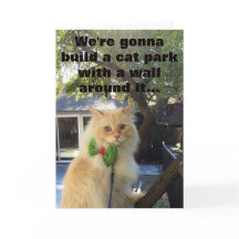 The dogs are gonna pay for it.