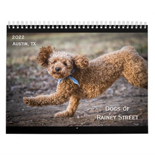 The Dogs of Rainey Street Calendar