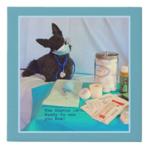 The Dogtor is In
