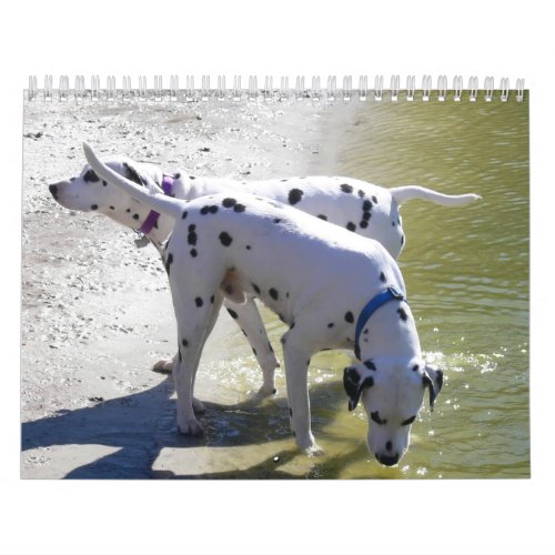 The DogWood Calendar 2007