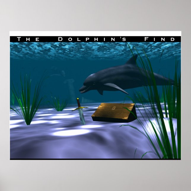 The Dolphin's Find Poster (Front)