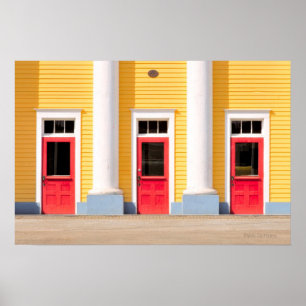 The Doors Poster