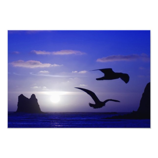 "the double bird blues" photo print (Front)