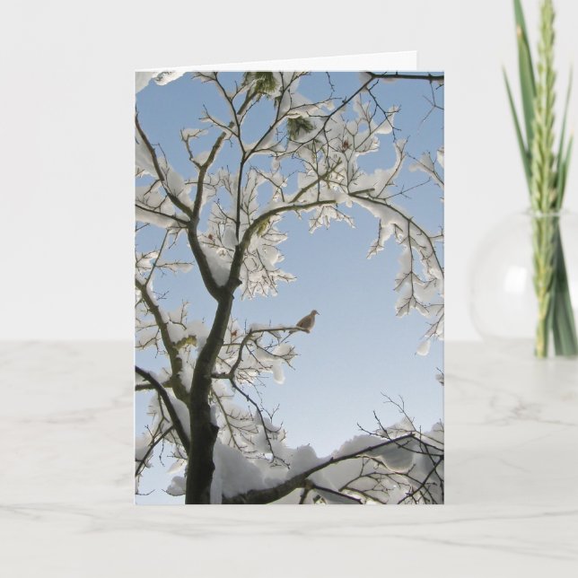 The Dove replies, "Noel." Holiday Card (Front)