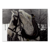 The Draft Horse (Front Horizontal)
