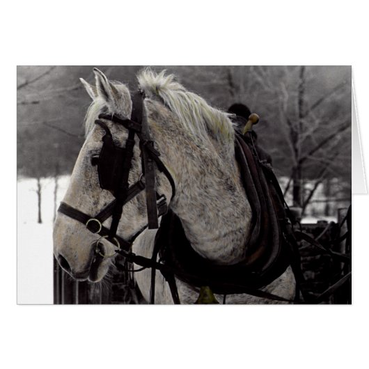 The Draft Horse Cards (Front Horizontal)