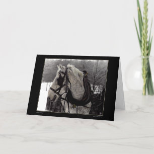 The Draft Horse Greeting Card