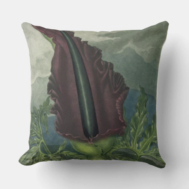 The Dragon Arum, engraved by Ward, from 'The Templ Throw Pillow (Front)