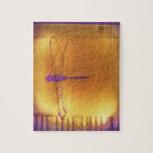 The Dragonfly and the Sun puzzle