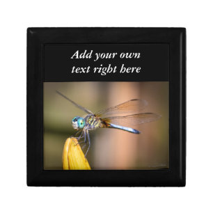 The Dragonfly Keepsake Box