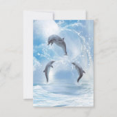 The Dreams Of Dolphins (Front)