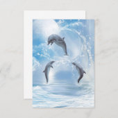 The Dreams Of Dolphins (Front/Back)