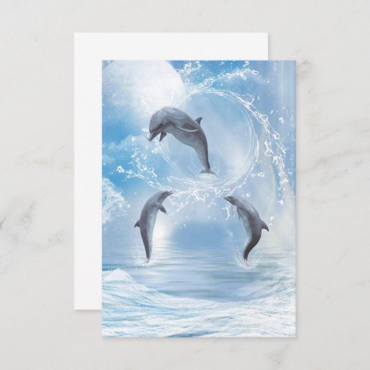 The Dreams Of Dolphins (Front/Back)