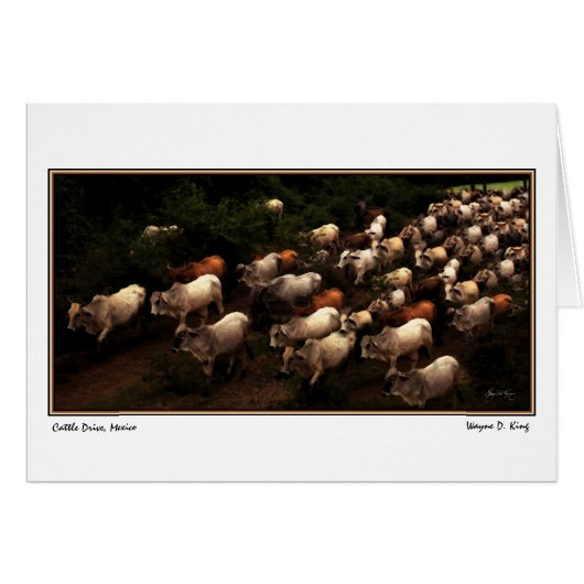 The Drive Home, Mexico (Front Horizontal)