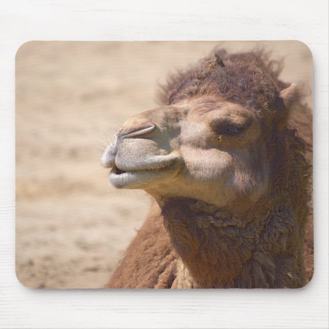 The dromedary camel - Mousepad (Front)