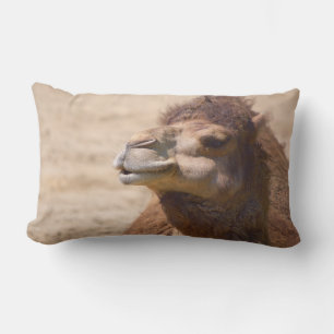 The dromedary camel - Pillow