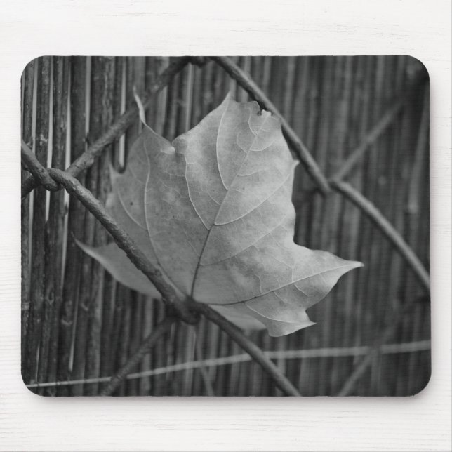 The Dry Maple Leaf - Mousepad (Front)