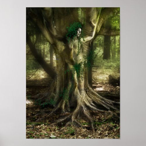 The Dryad Poster