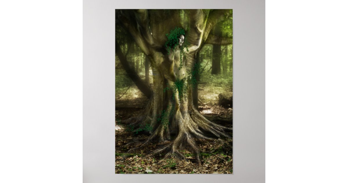 Dryad Craft Supplies Dryad Craft Supplies