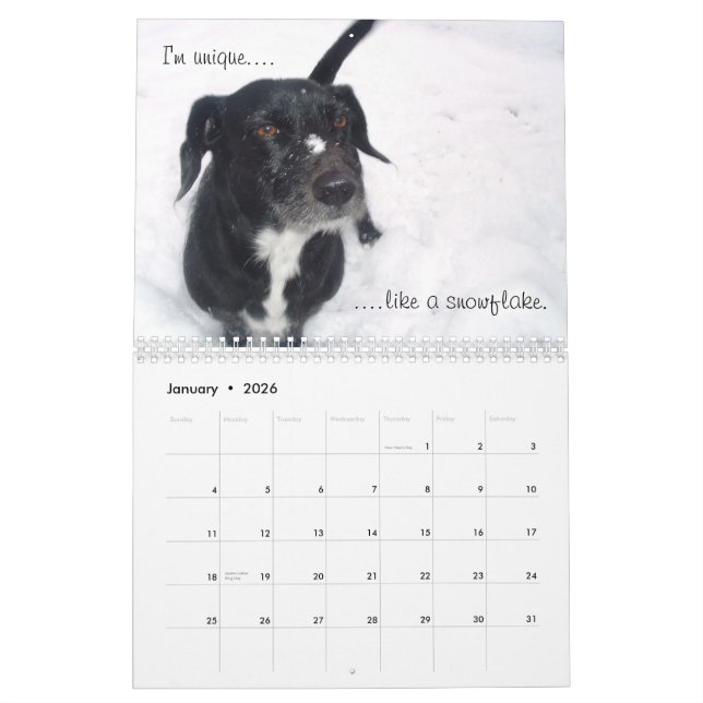 The Duchess of York County Calendar (Jan 2026)