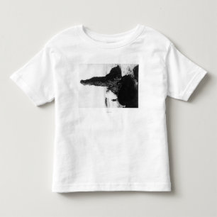 The Duchess Rock at Newport, Oregon Toddler T-shirt