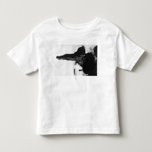 The Duchess Rock at Newport, Oregon Toddler T-shirt (Front)