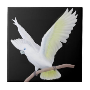 The DuCorps Cockatoo Parrot Tile