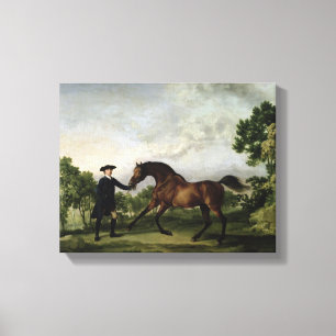 The Duke of Ancaster's bay stallion "Blank" Canvas Print
