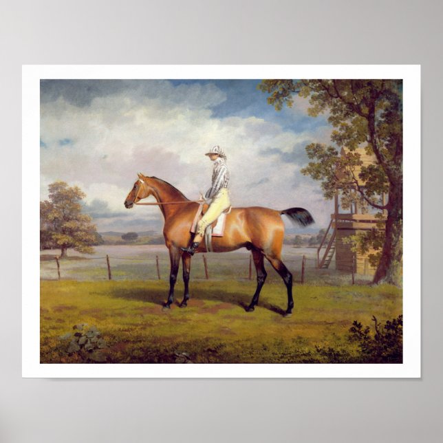 The Duke of Hamilton's Disguise with Jockey Up (oi Poster (Front)