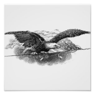 The eagle carries the American flag   Photo Print