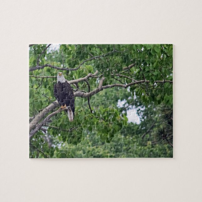 The Eagle's Perch - 8x10 - 110 pcs jigsaw puzzle (Horizontal)