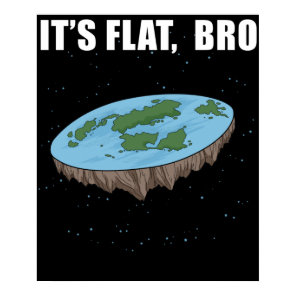 The Earth Is Flat Gifts It's Flat Bro Flat Earth Poster
