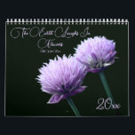 The Earth Laughs In Flowers  Calendar<br><div class="desc">An assortment of pretty flowers calendar.  Photography by Susan.  Click on Customize to add text and change calendar year dates.  These images are available on many products in my store.  Links to all of my stores are located on my Profile page.  Thanks for stopping by Smilin' Eyes Treasures.</div>