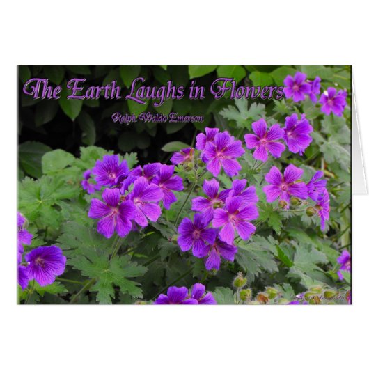 The Earth Laughs in Flowers Cards (Front Horizontal)